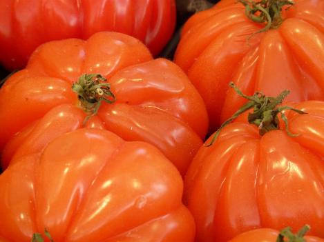 Pakis - Tomat PANTANO ROMANESCO, maheseeme, pärandsort