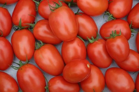 Pakis - Tomat - MALINOWY KAPTUREK, tavaseeme, pärandsort