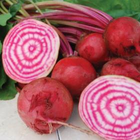 Siiruviiruline peet - CHIOGGIA