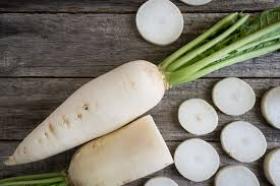 Taliredis, Jaapani rõigas, daikon MINO EARLY