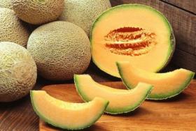 Melon HEARTS OF GOLD