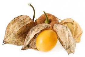 Tomatillofüüsal PINEAPPLE