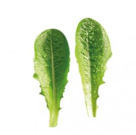 Rooma salat KALISTA