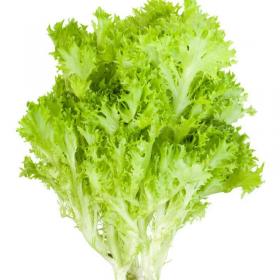 Aedsalat LOLLO