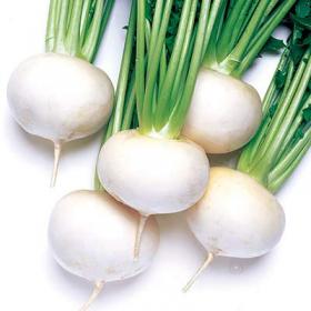 Naeris WHITE BALL,huilgipakk