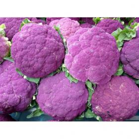 Lillkapsas DI SICILIA VIOLETTO