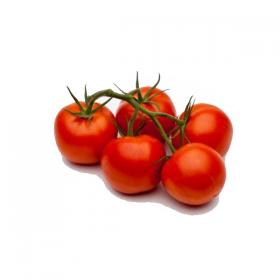 Tomat MATO