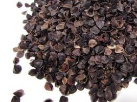 Mahe tatrakestad 1l