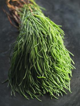 Sooda-ogamalts ehk argetti