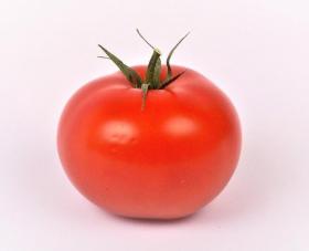 Tomat ERK