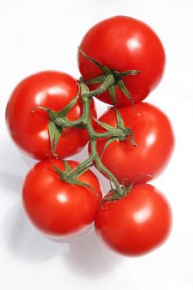 Tomat VALVE