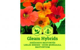 Suur mungalill GLEAM HYBRIDS 