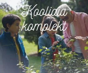 Kooliaia seemnekomplekt