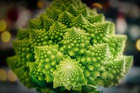 Romaani lillkapsas ROMANESCO NATALINO