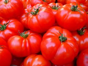 Harilik tomat - DELICIOUS RED 2272