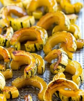 Suvikõrvits DELICATA