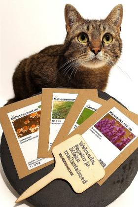 Kasside maitsetaimekomplekt - personaliseeritud sildiga