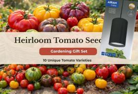 Taimelamp + 10 tomati pärandsordi assortii