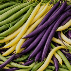 Põõsasubade segu – 3 värvi kaunad