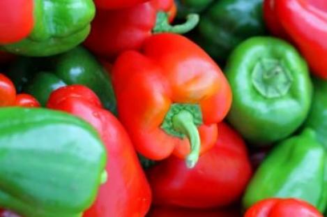 Pakis - Harilik paprika- CALIFORNIA WONDER - seemned