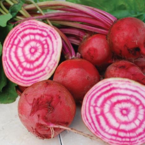 Pakis - Siiruviiruline peet - CHIOGGIA - seemned