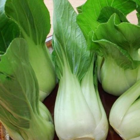 Pakis - Hiina lehtkapsas (lehtnaeris) Pak choi