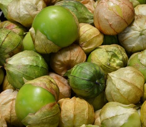 Pakis - Tomatillofüüsal PINEAPPLE