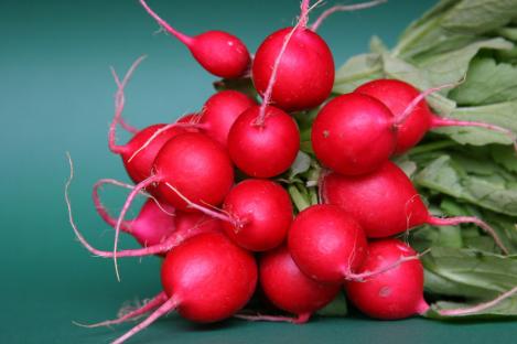 Pakis - Põldrõigas ehk redis - Cherry Belle - seemned