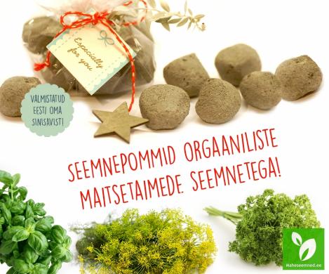 Seemnepomm maitsetaimedega on hea kingiidee!