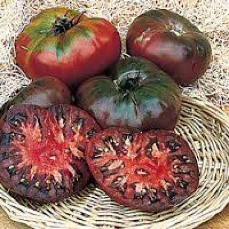 Pakis - Haruldane sort! Tomat- CHEROKEE PURPLE