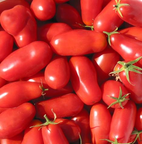 Pakis - Kirsstomat- SAN MARZANO 2, maheseeme, pärandsort