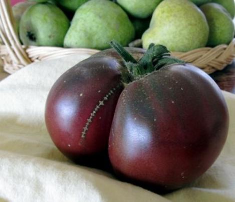 Pakis - Harilik tomat - BRANDYWINE NOIR - seemned