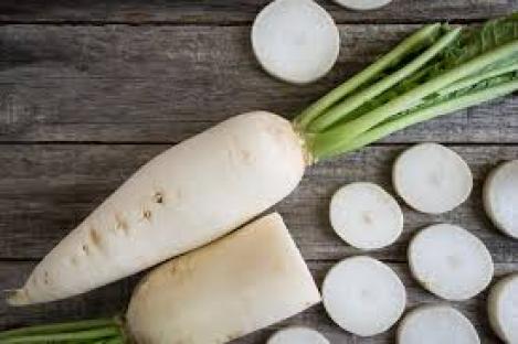 Pakis - Taliredis, Jaapani rõigas, daikon MINO EARLY, tavaseeme