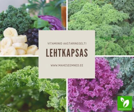 LEHTKAPSAS- AASTARINGNE VITAMIINIPOMM