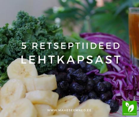 5 retseptiideed lehtkapsast