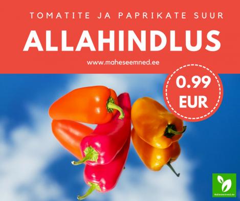 Suur allahindlus tomatite- ja paprikate maheseemnetel!
