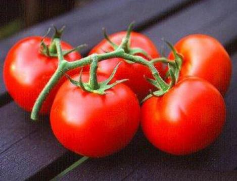 Pakis - Harilik tomat- ALICANTE - seemned
