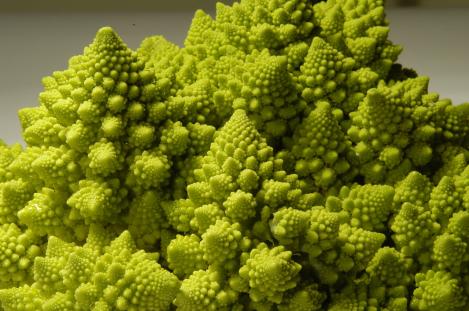 Pakis - Romaani lillkapsas - ROMANESCO NATALINO - seemned