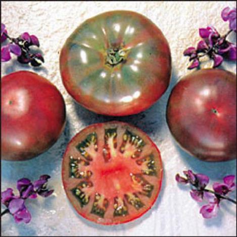 Pakis - Harilik tomat PURPLE CALABASH - seemned