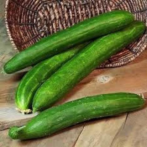 Pakis - Kurk BURPLESS TASTY GREEN F1 - seemned