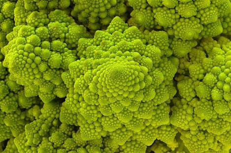 Pakis - Romaani lillkapsas - ROMANESCO OTTOBRINO - seemned