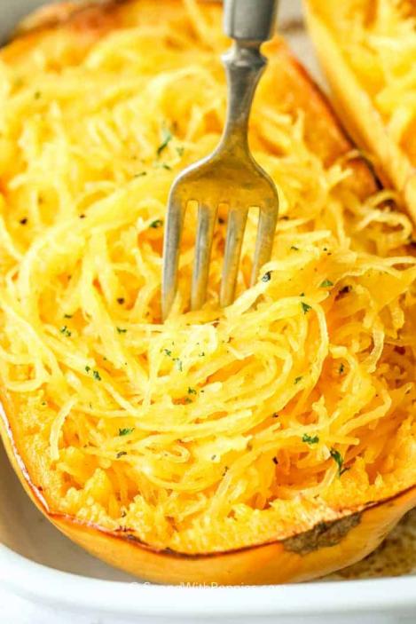Pakis - Spagetikõrvits- VEGETABLE SPAGHETTI - seemned