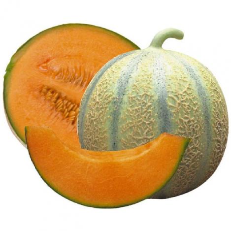 Pakis - Melon CHARENTAIS - seemned