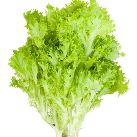 Pakis - Aedsalat LOLLO - seemned