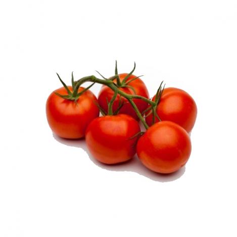 Pakis - Tomat MATO - seemned