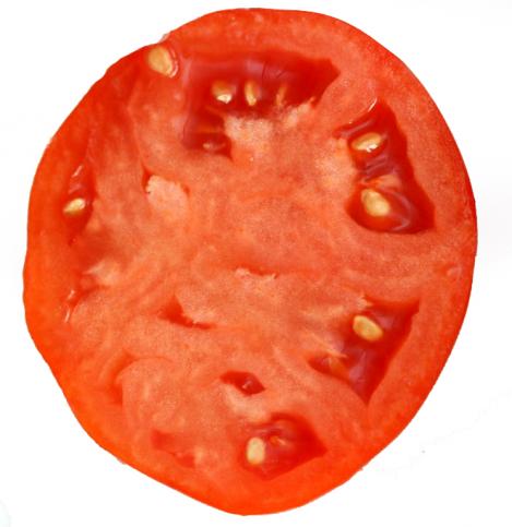 Pakis - Tomat TERMA - seemned