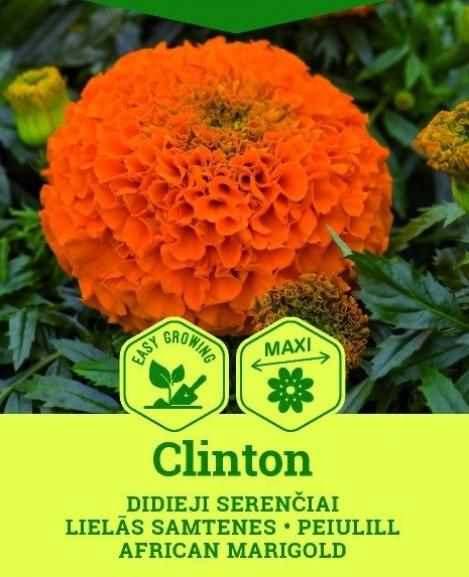 Pakis - Peiulill CLINTON - seemned
