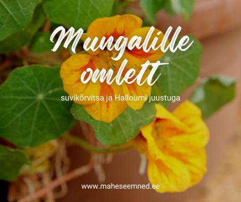 Mungalille omlett- retsept