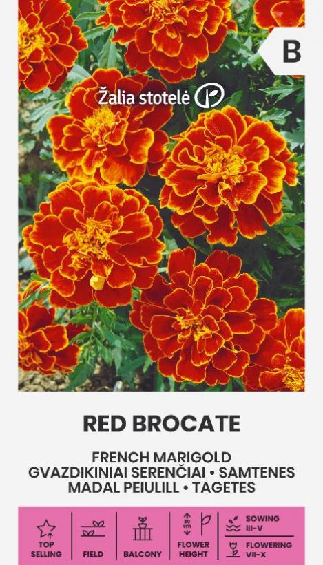 Pakis - Madal peiulill RED BROCATE - seemned