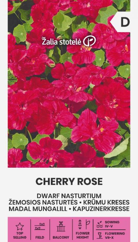 Pakis - Madal mungalill CHERRY ROSE - seemned